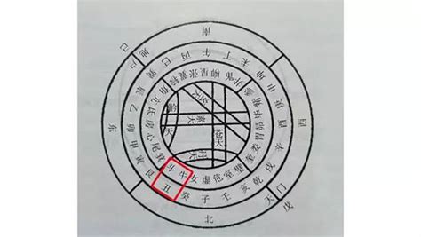 癸亥日主|八字干支解读——癸亥：不事张扬，静中有动！